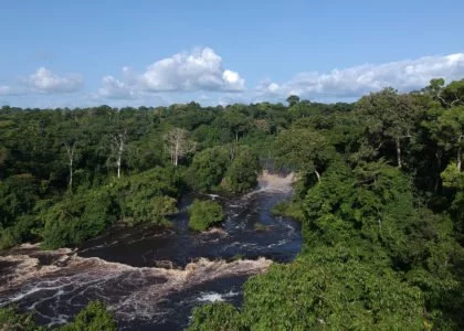 Cameroon